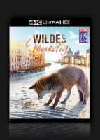 Wildes Venedig – Ultra HD